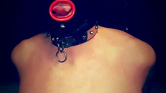 Bdsm Play ...