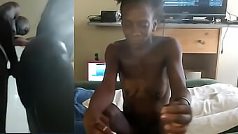 Authentieke Momenten Van Amateur Milfs En Ebony Koppels