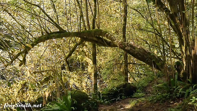 Jeny Smith'S Naaktheid In De Buitenlucht En Een Flitsend Schouwspel